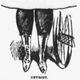 Drawing of lady's legs in bikewear